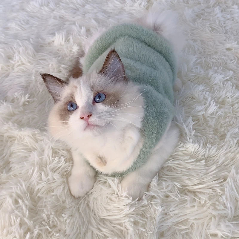 Winterpullover für Katzen – kuschelig & bequem