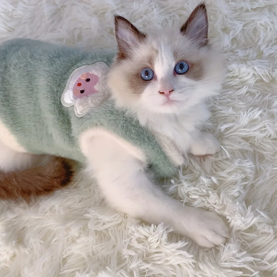 Winterpullover für Katzen – kuschelig & bequem